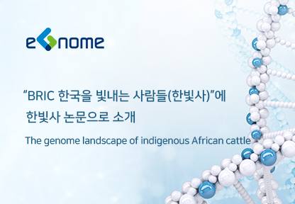 “The genome landscape of indigenous African cattle” 논문이 BRIC 한국을 빛내는 사람들 (한빛사)에 한빛사 논문으로 소개썸네일