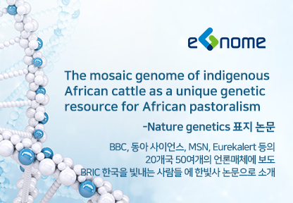  Nature genetics 표지 논문 “The mosaic genome of indigenous African cattle as a unique genetic resource for African pastoralism” BBC, 동아 사이언스, MSN, Eurekalert 등의 20개국 50여개의 언론매체에 보도되었으며, 한빛사에 한빛사 논문으로 소개썸네일