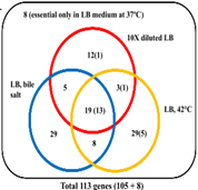 Genome scanning for conditionally essential genes in Salmonella enterica Serotype Typhimurium.썸네일