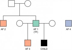 Selection and evaluation of bi-allelic autosomal SNP markers for paternity testing in Koreans썸네일