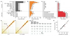 Towards complete and error-free genome assemblies of all vertebrate species썸네일